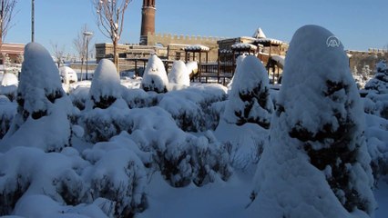 Doğu Anadolu'da 4 ilde kar kalınlığı yarım metreyi buldu