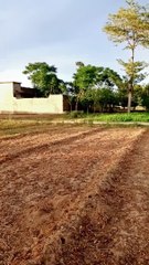 My fast village Blog