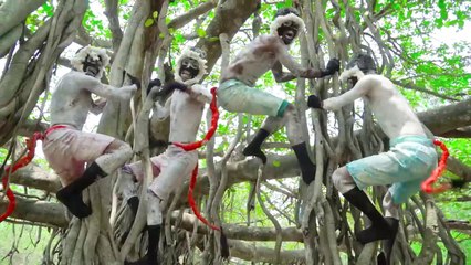 Don`t Miss Exclusively Monkey Funniest Comedy Video  Viral Funny Video