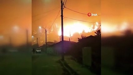 Şili’de orman yangını: 23 ölü, 979 yaralı
