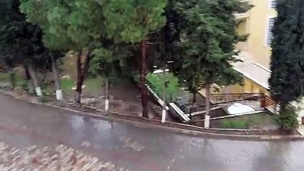 İzmir’de şiddetli fırtına ağaçları devirdi