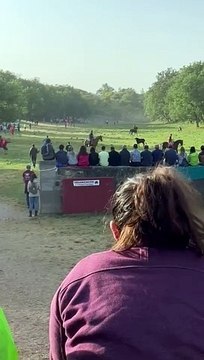 Lavalenguas: así ha entrado el primer toro a los corrales de Cañada Honda (vídeo)