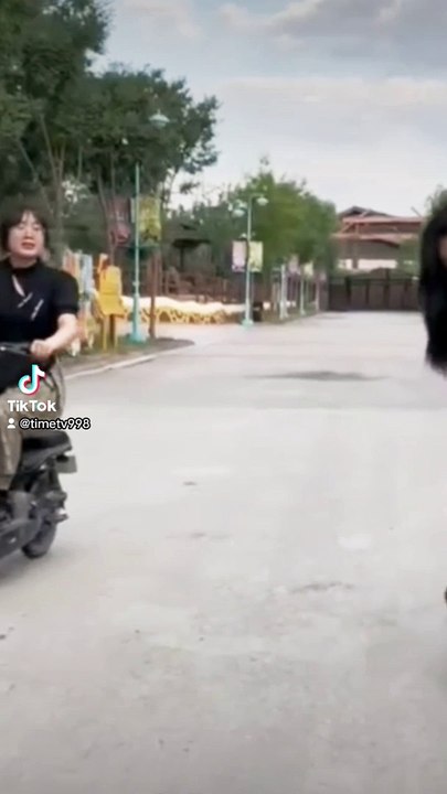 Bany monkey walk so cute traveling action