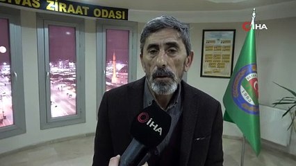 Esrarengiz tarla merak konusu oldu