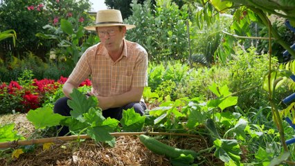 Gardening Australia 2024 episode 19