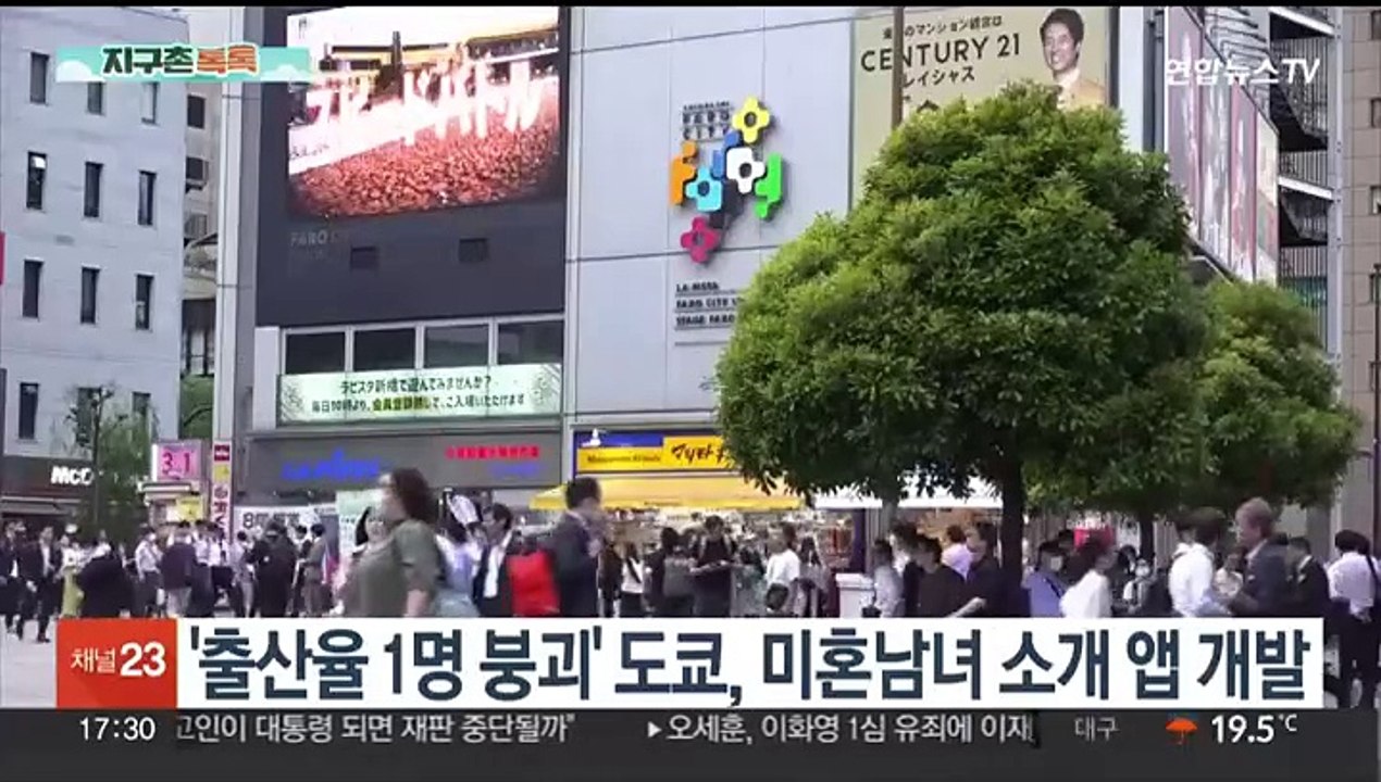 [지구촌톡톡] 싱가포르 해변에 모래 위로 얼굴만 내민 '공포의 물고기' 外