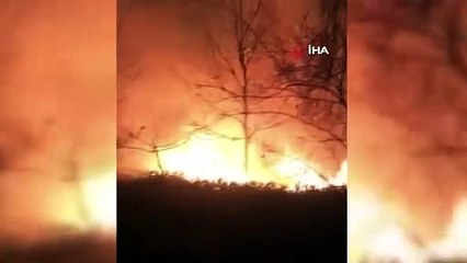 Sakarya’da orman yangını