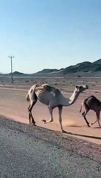 VotTak-bc78221e-6397-467b-a926-9e1bb4377df5