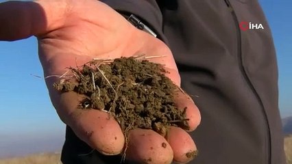Muş’ta kuraklık endişesi