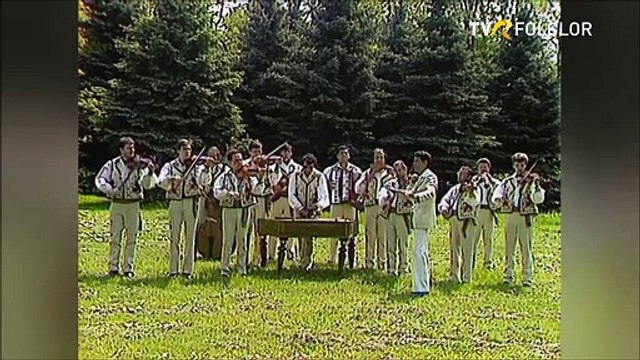 Nicolae Rotaru - In mijlocul codrului (Tezaur folcloric - arhiva TVR)