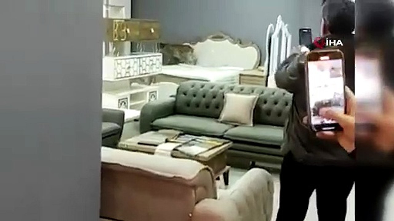 Ormanın hayaleti vaşak mobilya mağazasına girdi! Görenler cep telefonlarına sarıldı