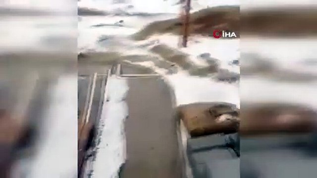 Arap Yarımadası'na kar yağdı. Kar gören Arap bakın ne yaptı