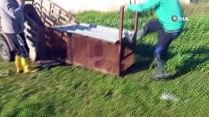 Tilkiyi emekli polis "Battal Gazi" kapanıyla yakaladı