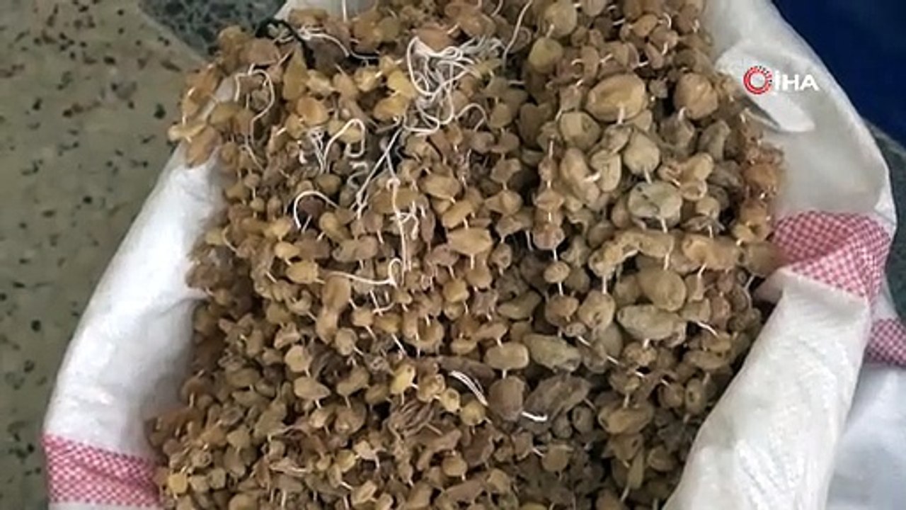 Dağdan topluyorlar kilosunu 3 bin TL'ye satıyorlar