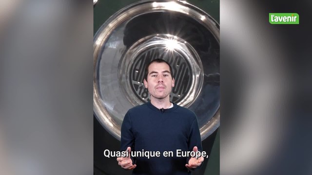 La Minute locale: une calèche électrique débarque à Bruxelles