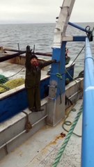 Rize'de hamsinin fiyatı 20 TL’ye kadar indi