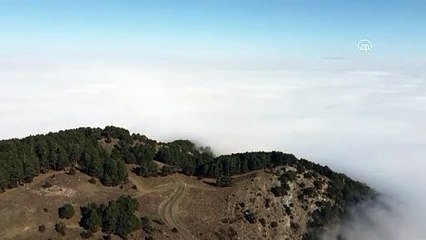Başkarcı Dağı'nın zirvesi bulut denizine döndü