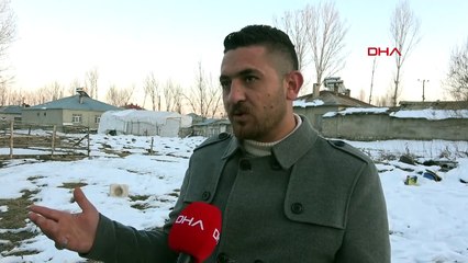 Kargalar bir mahallenin kabusu oldu. Davul çaldılar yine kaçıramadılar