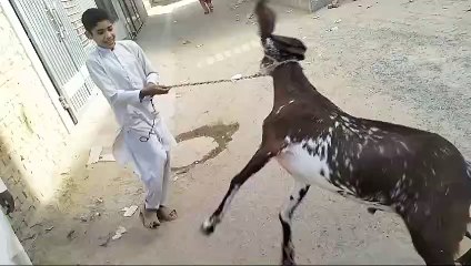 VID-20240607-WA0054