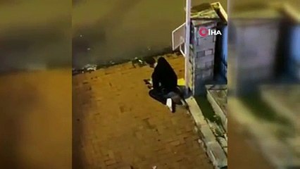 Sarıyer’de köpeği boğmaya çalışan şüpheli yakalandı