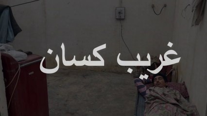 Ghareeb Kisaan Ki Kahani ｜Dailymotion Video 2024｜ Story of a Poor Farmer ｜｜ BWP Royals