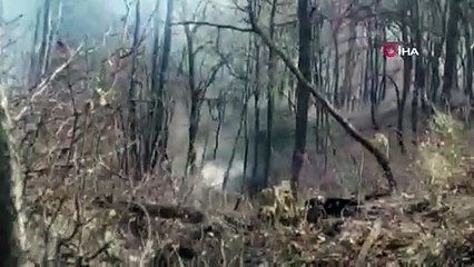 Eren Abluka’da 14 sığınak ile sözde eğitim kampı imha edildi