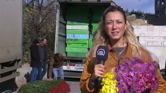 Çiçekçiler Öğretmenler Günü için hazır! Saksıda ve demet çiçeklerine yoğun ilgi