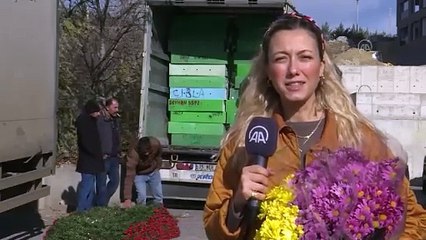 Çiçekçiler Öğretmenler Günü için hazır! Saksıda ve demet çiçeklerine yoğun ilgi