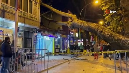 Bursa’da 40 metrelik çınar ağacı dükkanların üzerine devrildi   