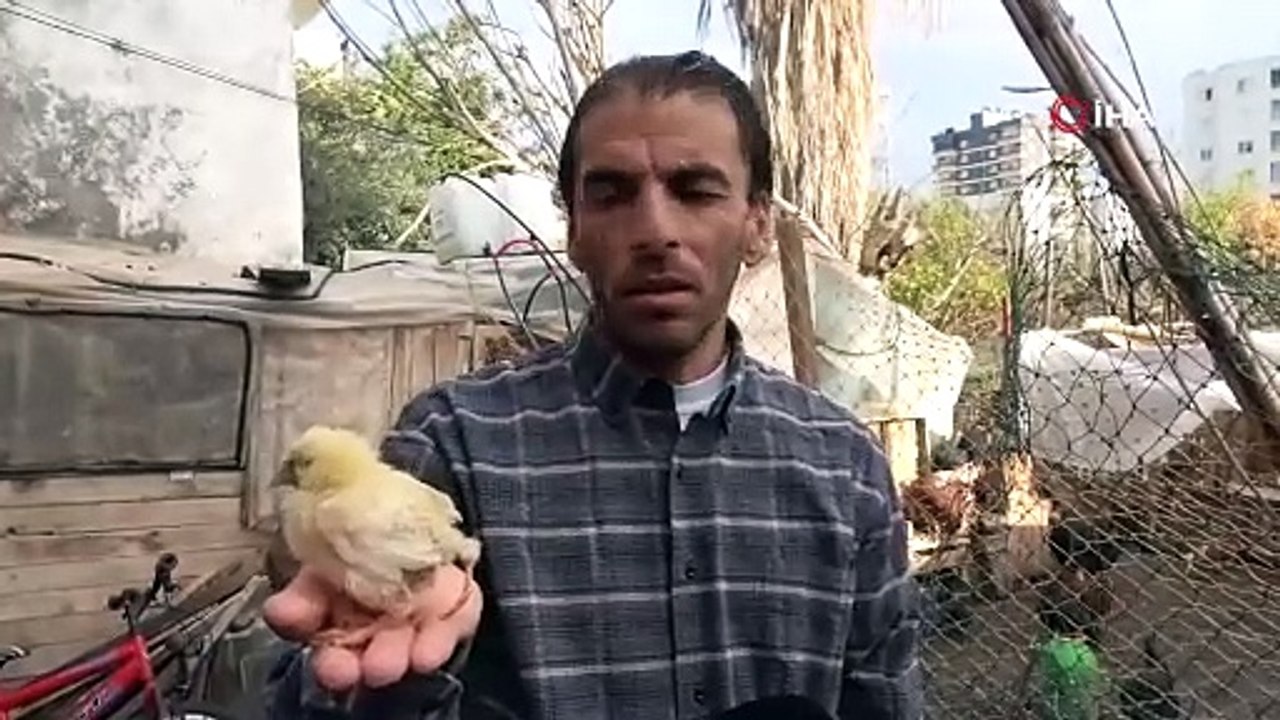 Gören bir daha bakıyor! Bu civcive 10 katı fiyat teklif edildi