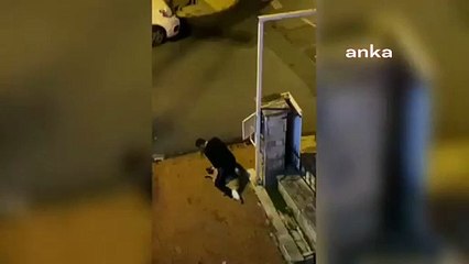 Üzerine oturduğu sokak köpeğini boğmaya çalıştı