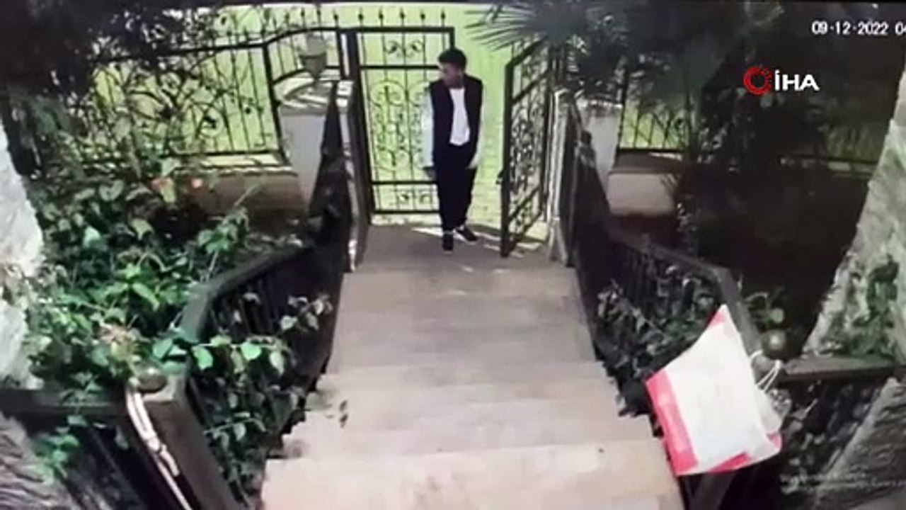 Köpek hırsızlığı kameraya yansıdı