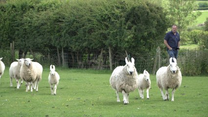 The Weald of Kent voters turning backs on Tories