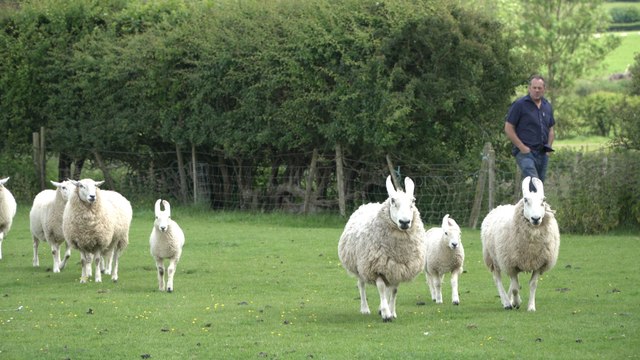 The Weald of Kent voters turning backs on Tories