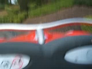 Course folle chez Mickey