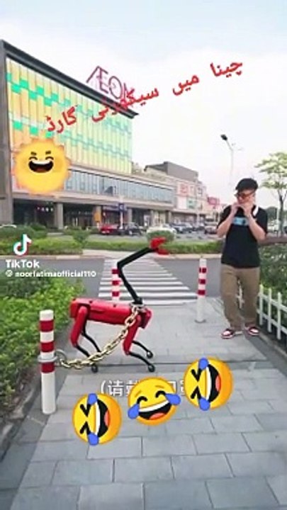 Funny chamise robot 