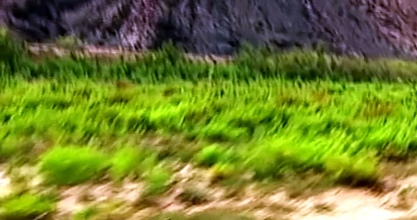 Devil's Trip. Episode 11: Hoarusib, Teil 1.