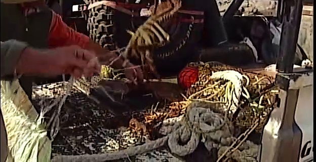 Classic Video - Namibia