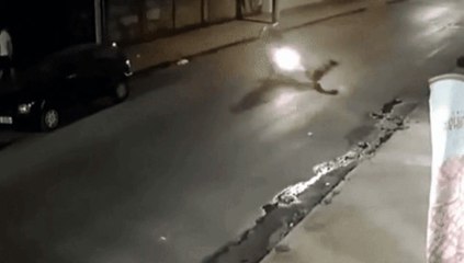 MG: casal em moto colide contra cachorro que perseguia gato