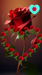 So beautifull*#*flowers*#*