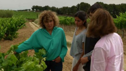 Dolors Montserrat pasea por su población natal, San Sadurní de Noya, en la jornada de reflexión.