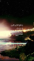 Islamic Videos | وَفَرِحُوا بِالْحَيَاةِ الدُّنْيَا وَمَا الْحَيَاةُ الدُّنْيَا فِي الْآخِرَةِ  إِلَّا مَتَاعُ  | Dailymotion shots reel | Al Quran | #canada #USA #Unitidkingdoms