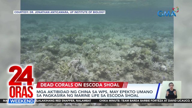 Mga eskperto mula UP, nagsagawa ng malalimang pagsusuri sa Escoda Shoal; halos 100% ng corals, patay na | 24 Oras Weekend
