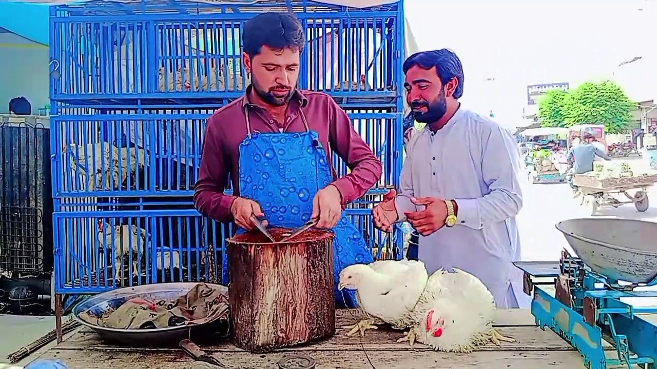 Pagal gahak