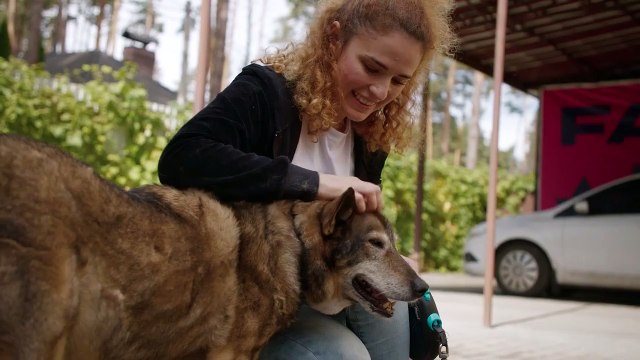 Ми, наші улюбленці та війна - офіційний трейлер