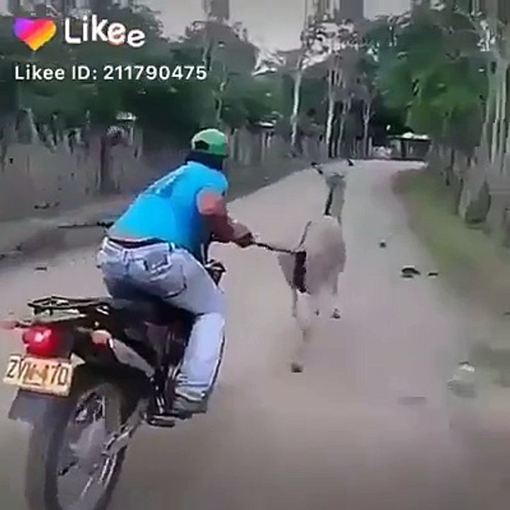 Amazing sound