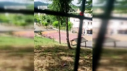 Sınava yetişmeyen öğrenci giriş belgesini çöpe atarak çaresizce evine döndü