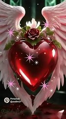 Beautifull flowers# video#@