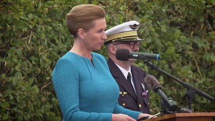 덴마크 총리 가벼운 부상...가해자는 39세 남성 / YTN