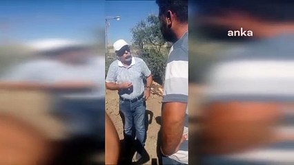 TOKİ konutlarına su çekmek için asırlık zeytin ağaçları gizlice söküldü